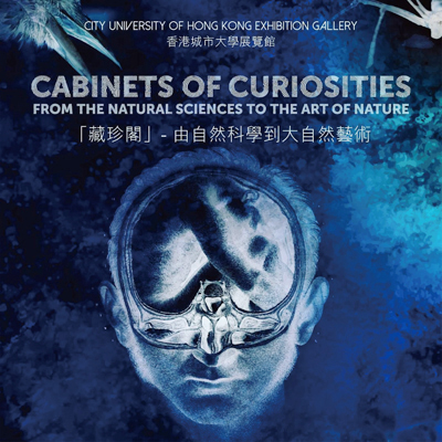 08_Cabinets-of-Curiosities-Cover.jpg