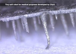Tiny, soft robot with multi-legs paves the way for drug delivery in the human body