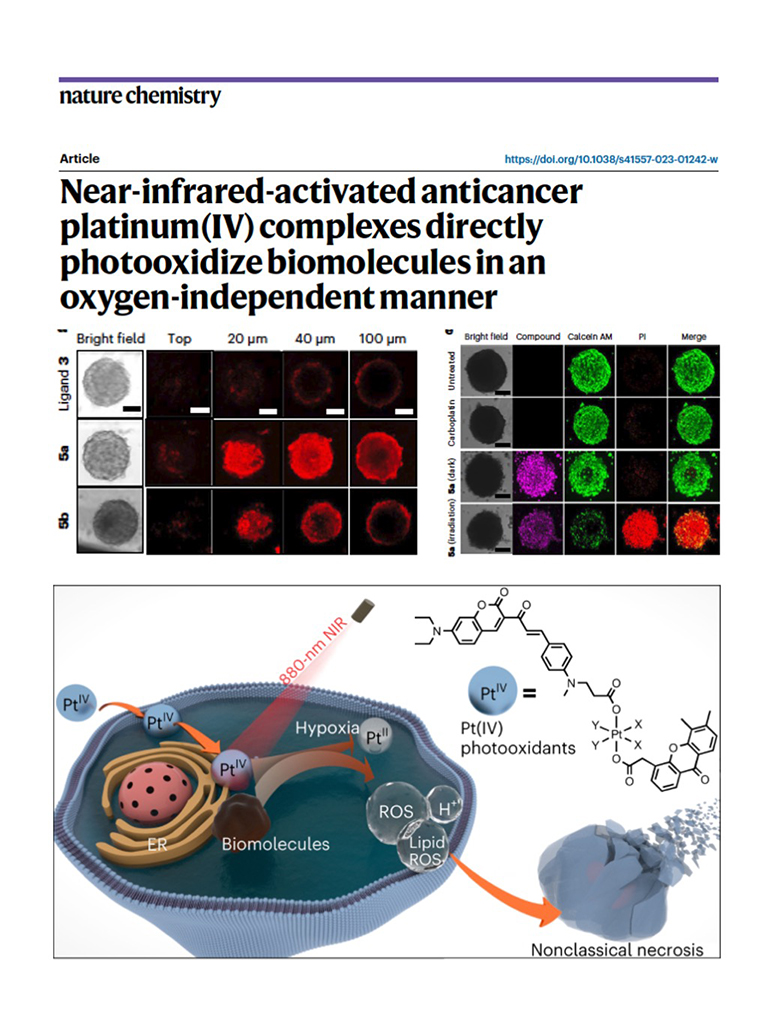 Near-infrared-activated anticancer platinum(IV) complexes directly photooxidize biomolecules in an oxygen-independent manner.
