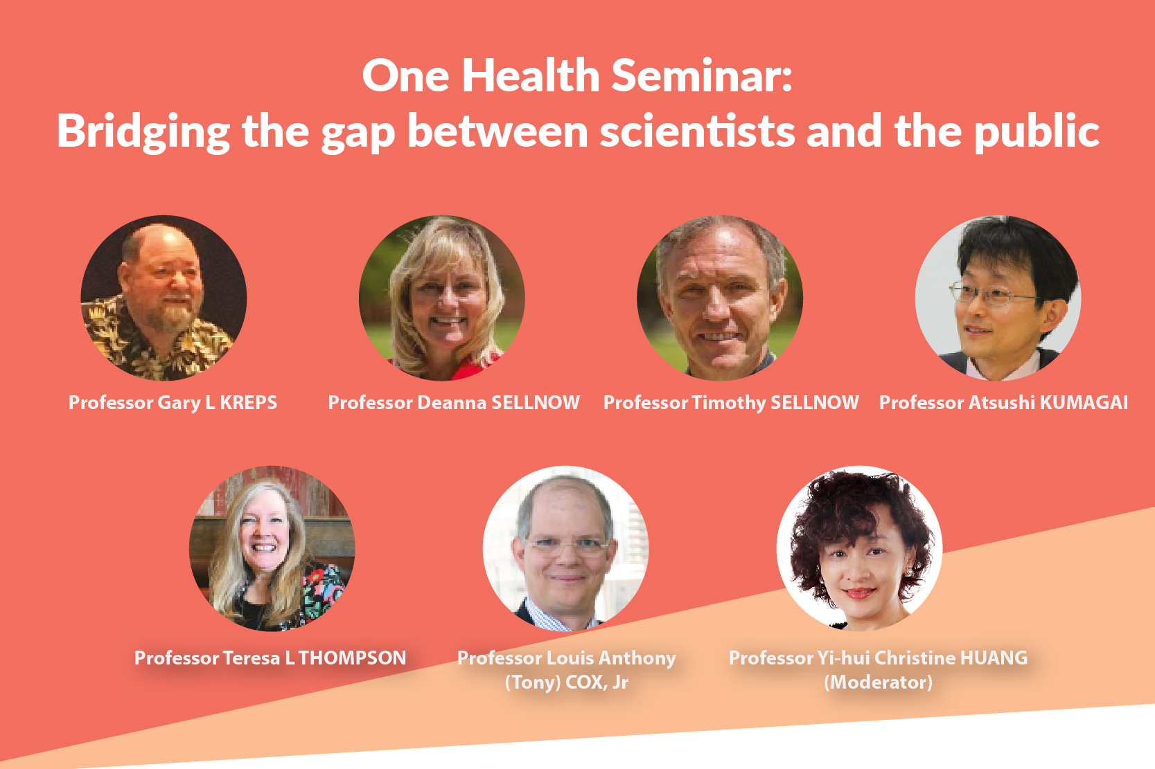 Online Seminar Gather Experts for Health Communication Discussion