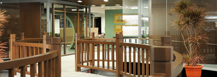 Humanities Academy