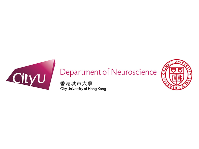 New Department of Neuroscience