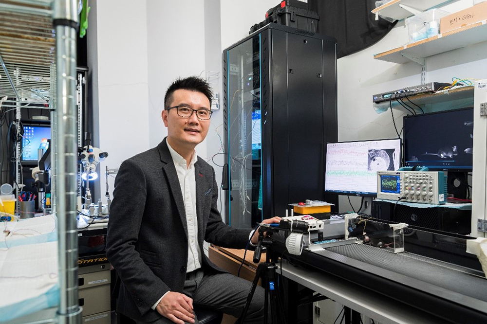 CityU neuroscientists uncover the therapeutic potential of low-dose ionizing radiation for traumatic brain injury and ischemic stroke