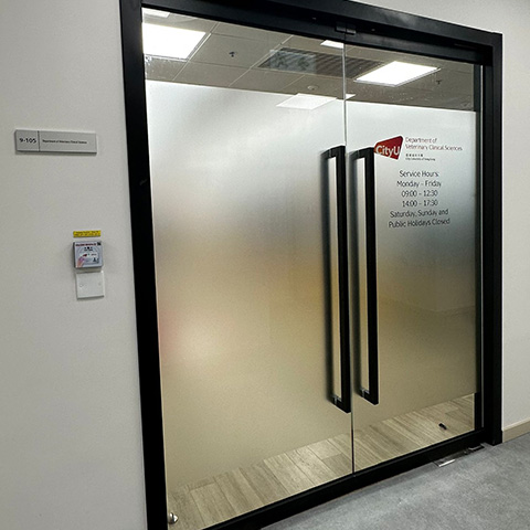 Department of Veterinary Clinical Sciences