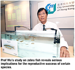 A lack of oxygen can trigger sex changes in fish