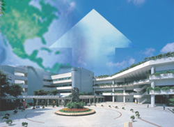 城大躍升24位 居全球頂尖大學第154名