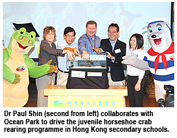 城大與海洋公園推行首項馬蹄蟹校園保姆計劃