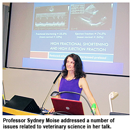 Veterinary seminar draws local professionals