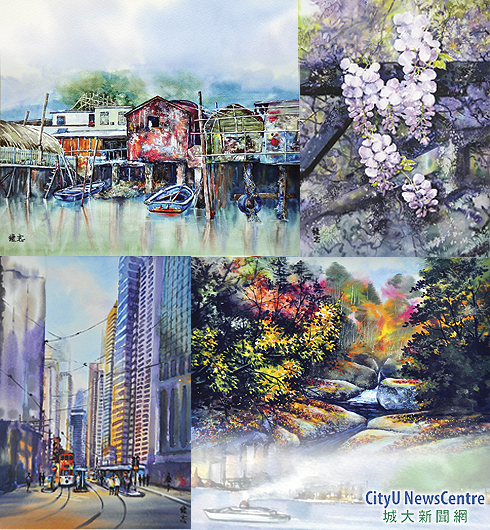 Watercolour paintings on display