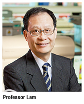 CityU scientists win outstanding scientific research awards