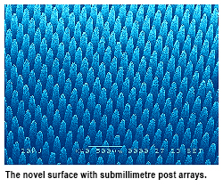 CityU develops the world's most superhydrophobic material