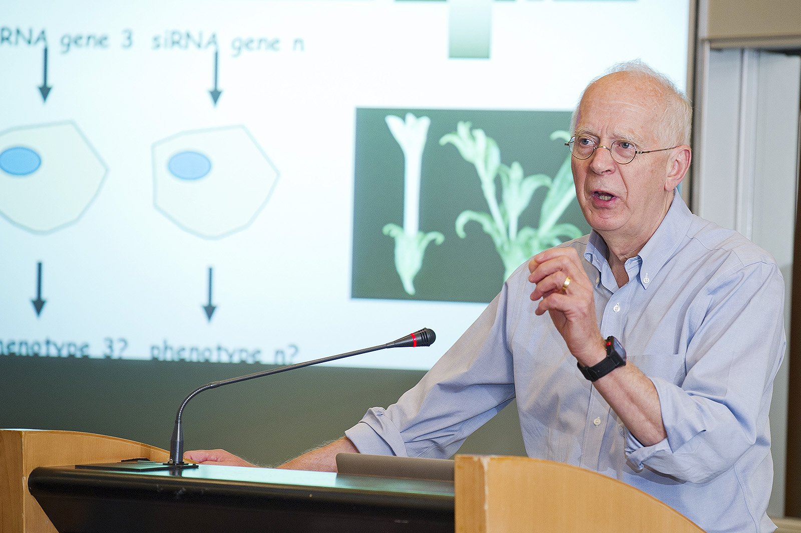 Professor Sir David Baulcombe