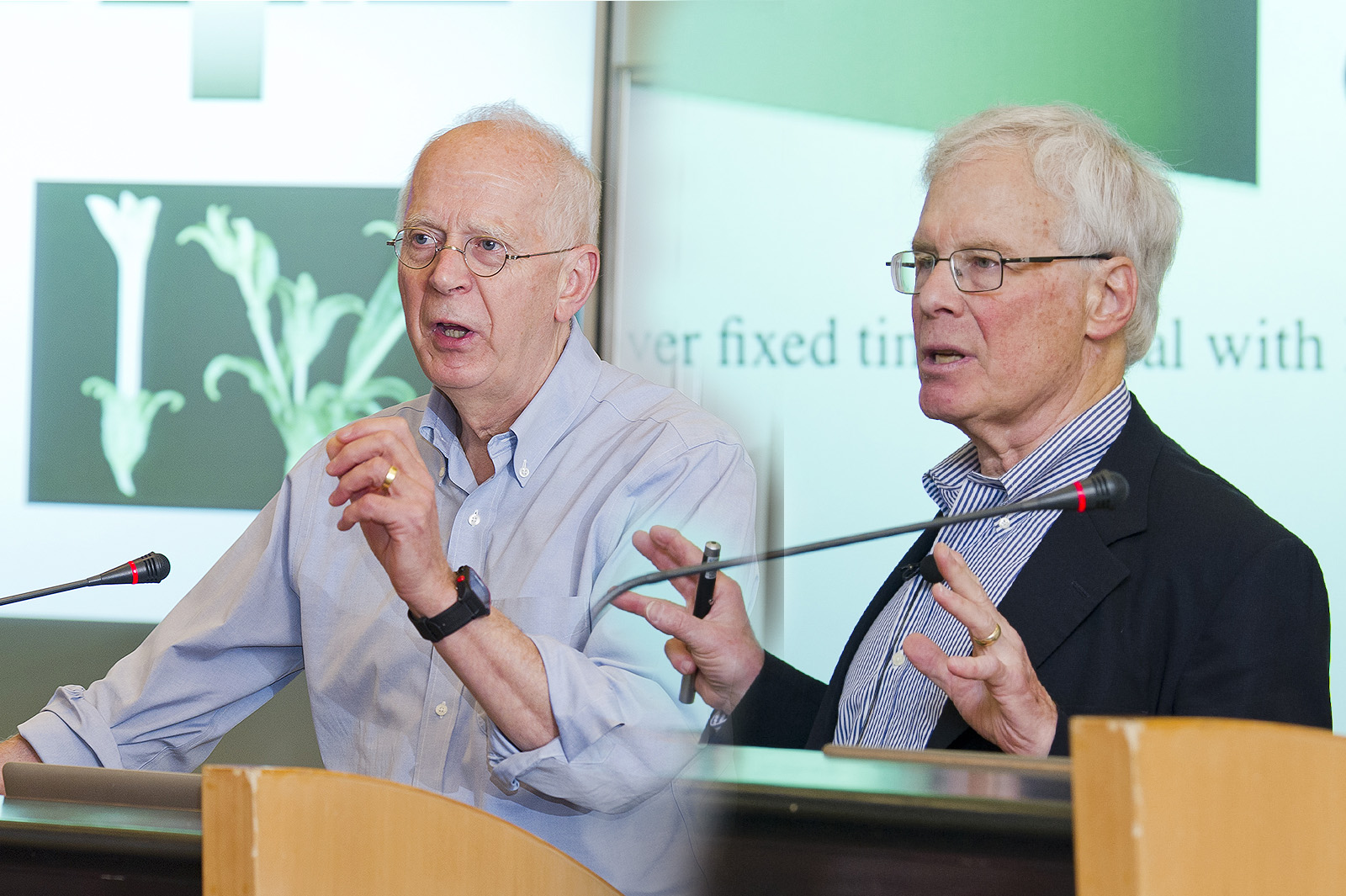 Distinguished lectures on epigenetic effects and anemias therapies
