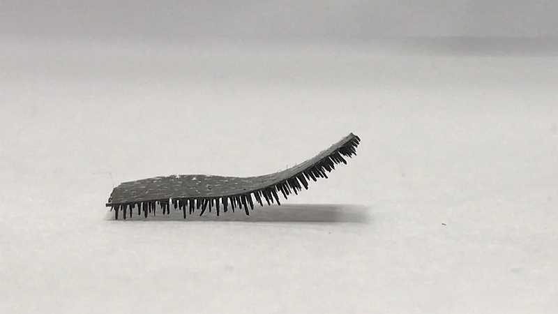 Tiny soft robot with multilegs paves way for drugs delivery in human body