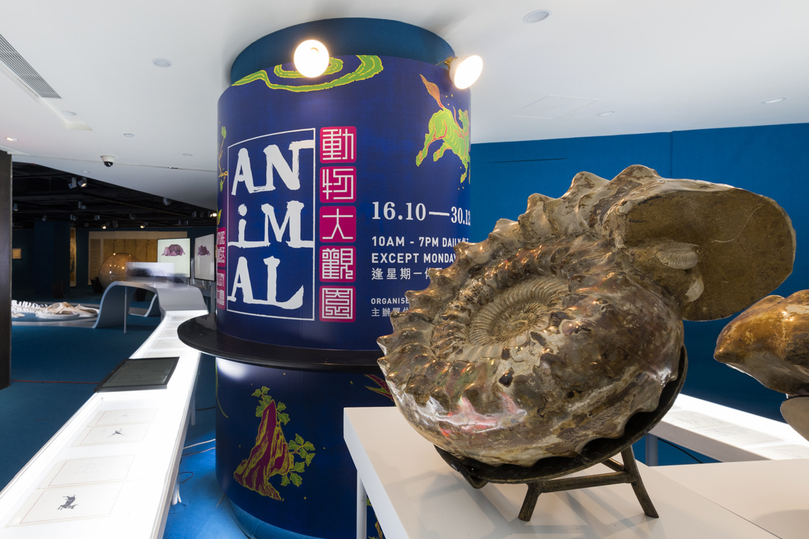 城大、臺北故宮第三度合辦新媒體展覽：「動物大觀園」