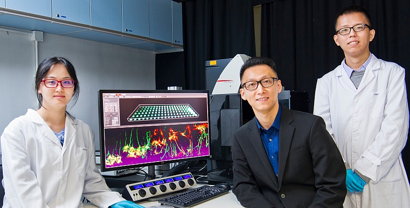 Dr Shi (centre) and his research team members Fang Peilin (left) and Xu Zhen
