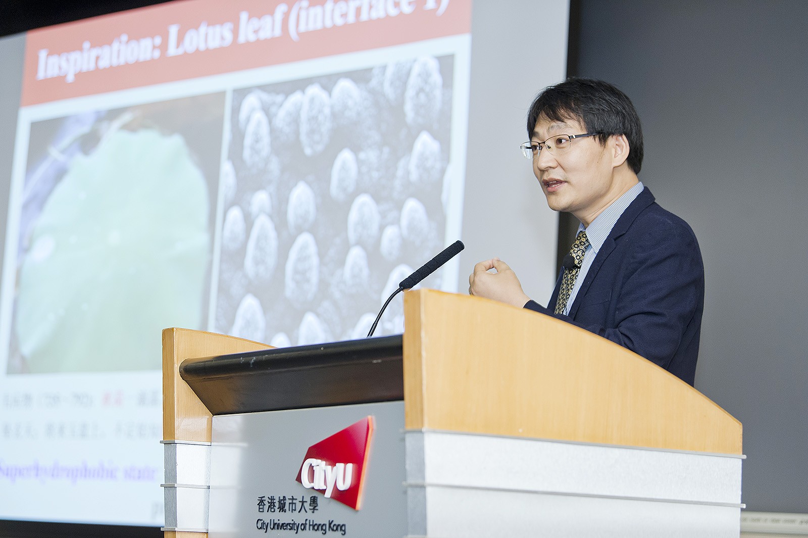 Nature-inspired innovation: art, science and technology