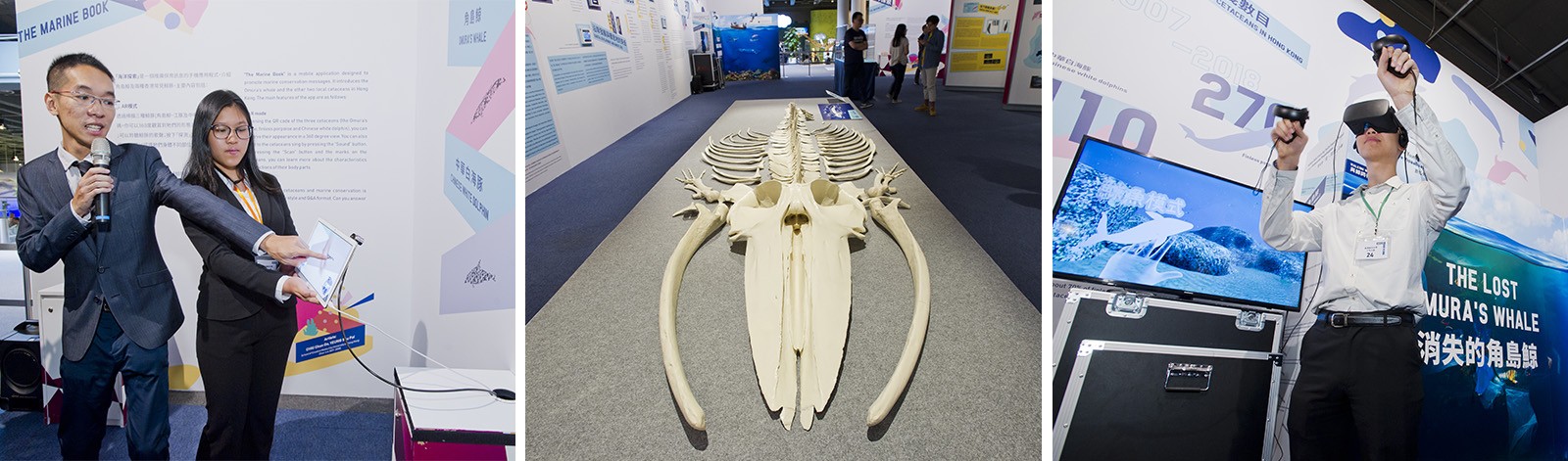 WOW項目展品