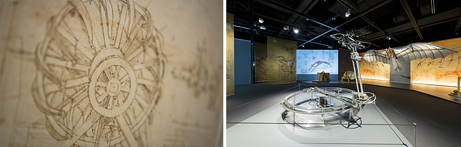 Some of the exhibits