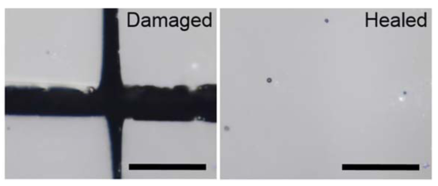 Damaged coating with a cross-cut (left) and after repair (right).