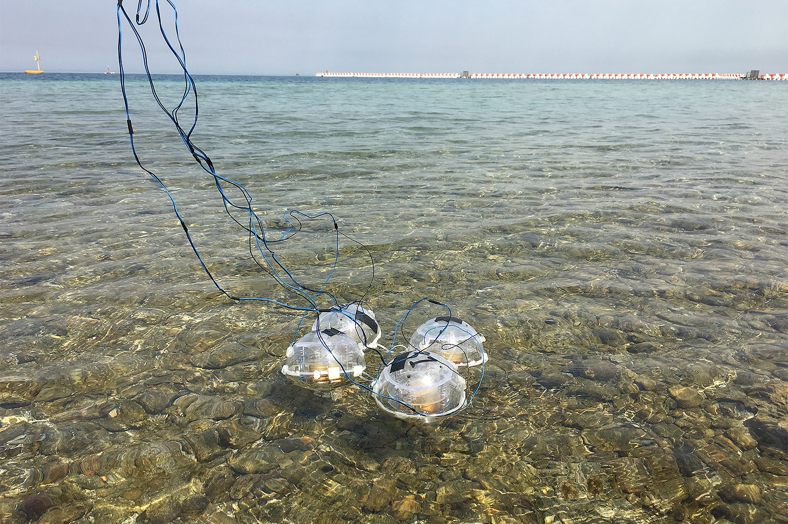 新發明的波浪發電裝置能有效地將波浪能轉化為電能。