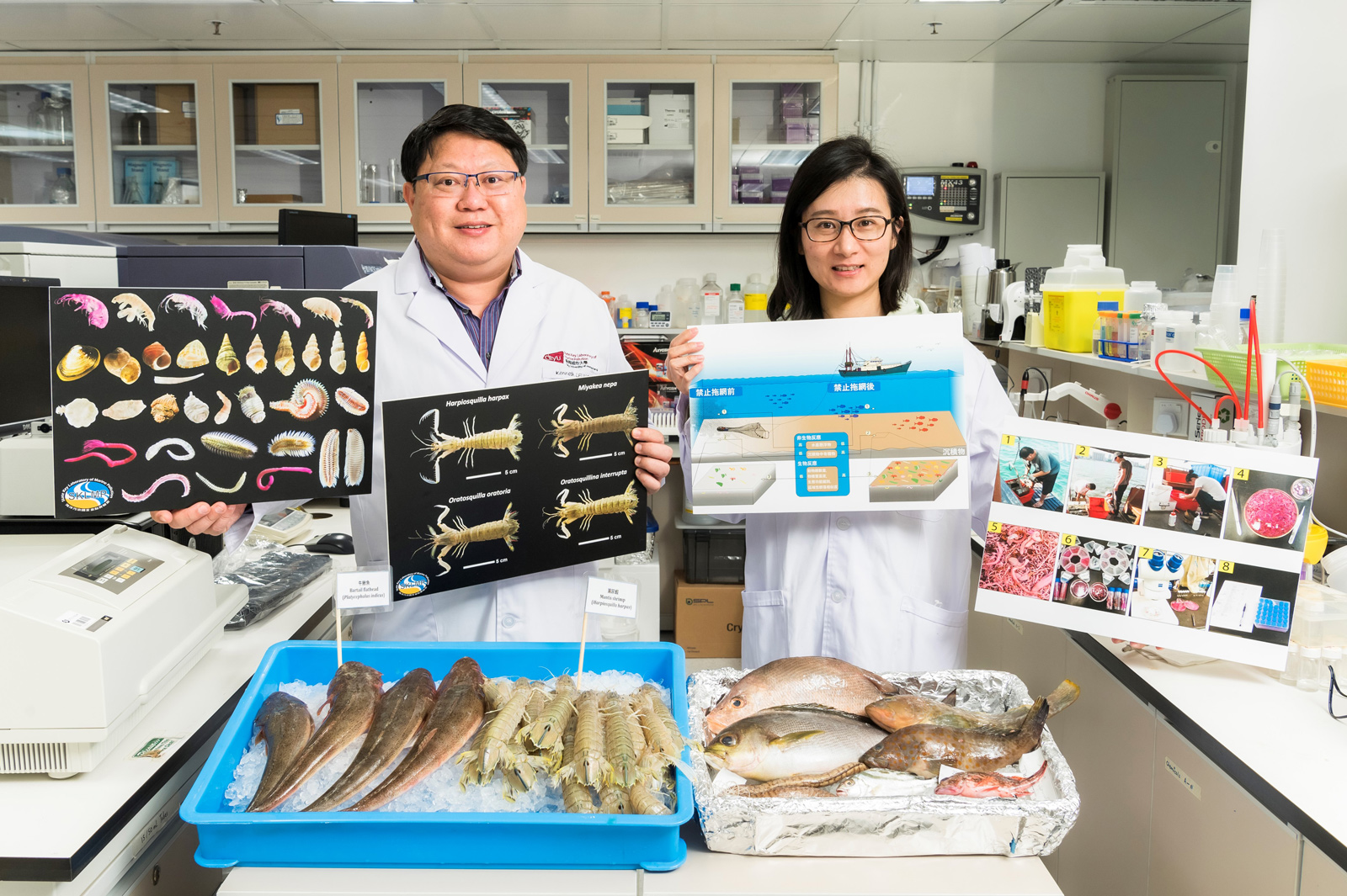 Trawl ban boosts marine biodiversity in local waters