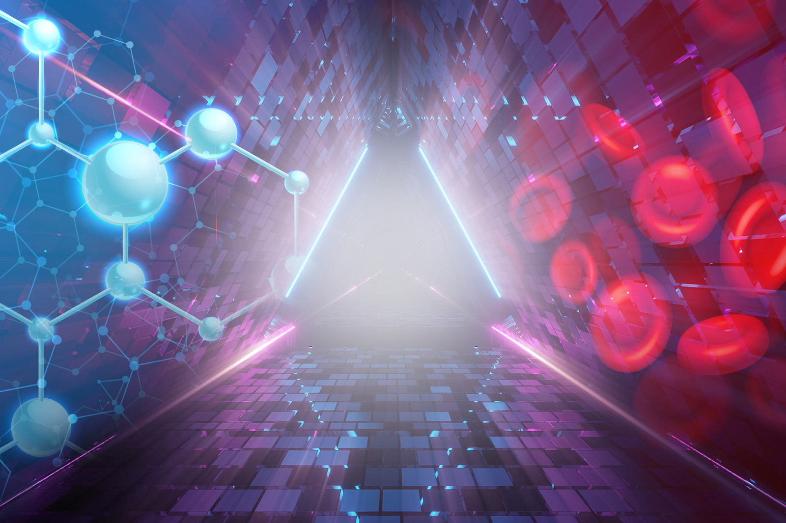 城大兩項研究項目榮獲教育部高校科研獎