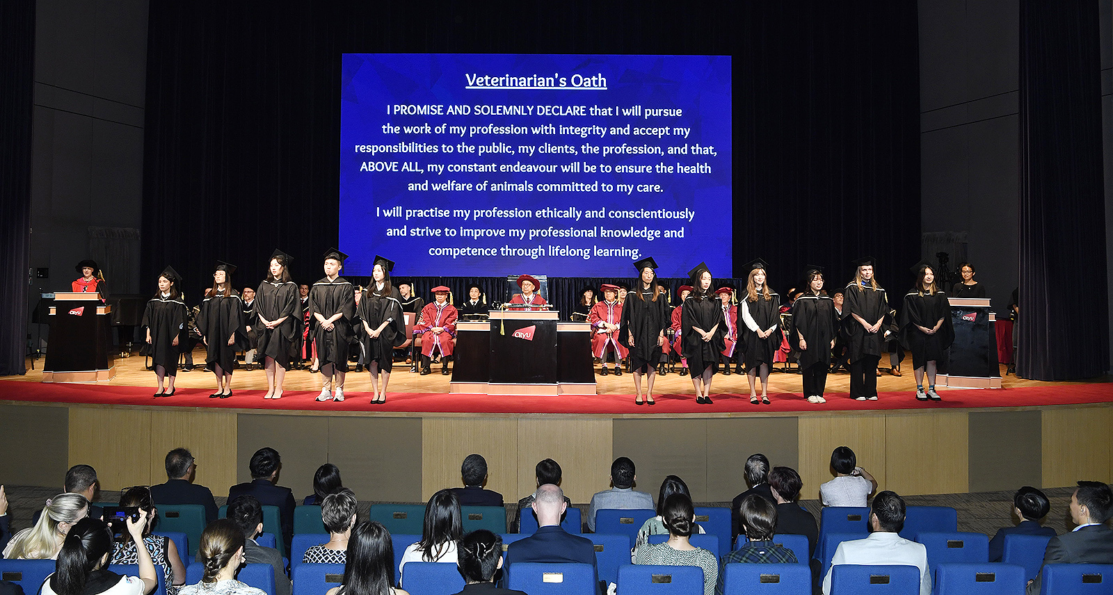 CityU’s first batch of Bachelor of Veterinary Medicine graduates are ...