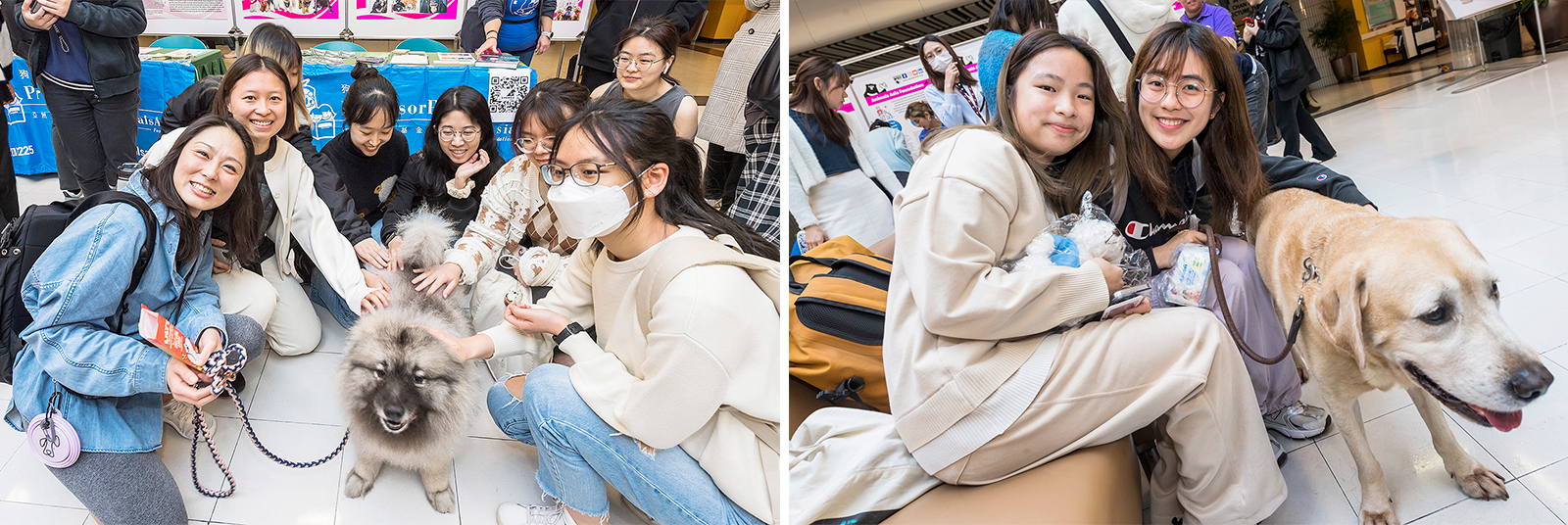 Students joyfully interact with the pets.