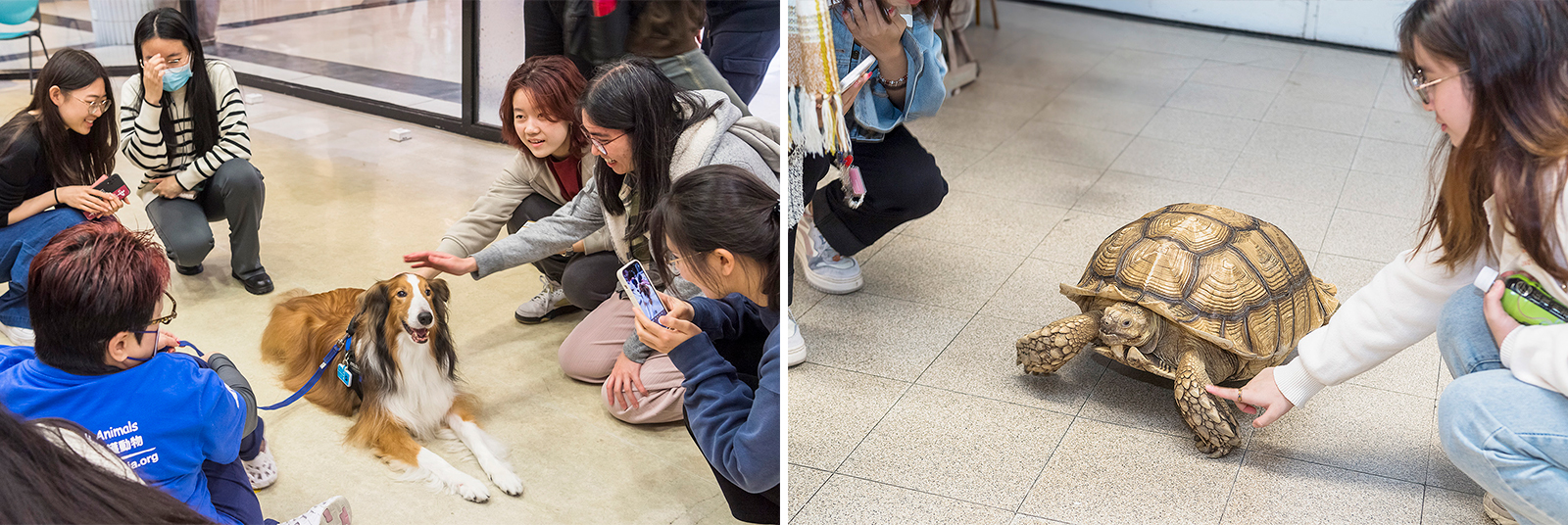 Students joyfully interact with the pets.