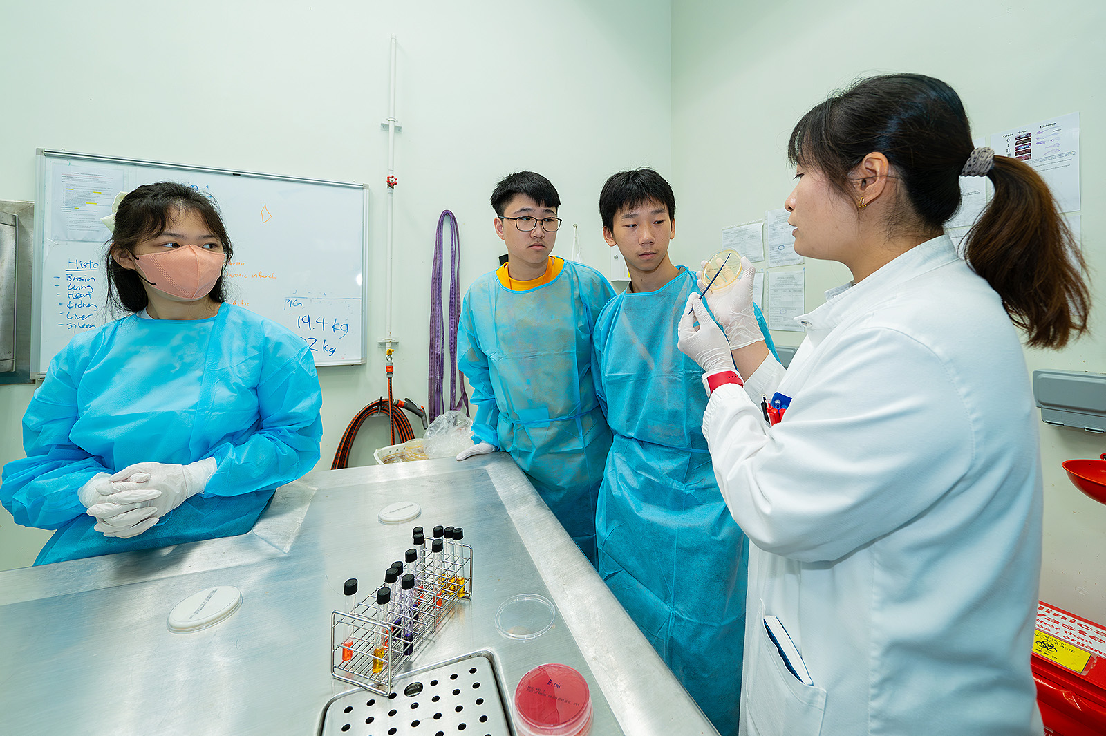 參加者參觀動物醫療檢驗中心。