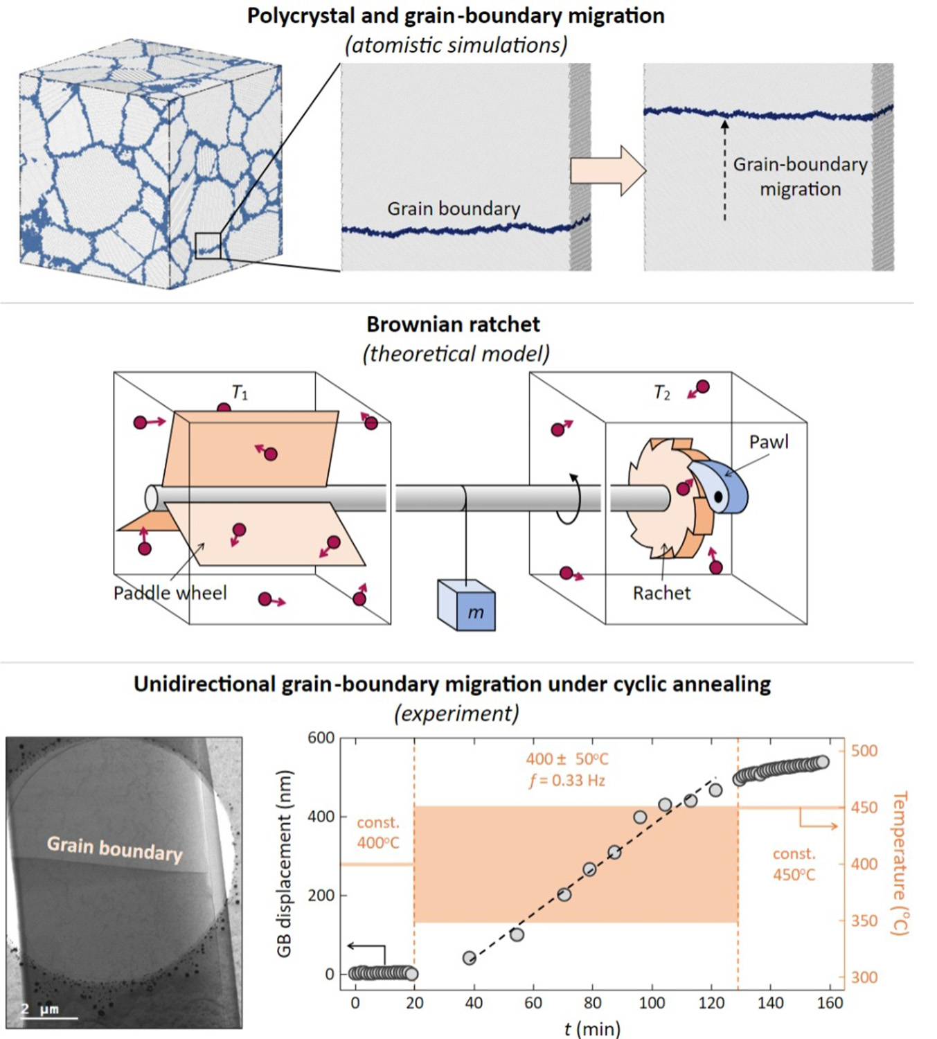 Demonstration of ratchet-like behaviour of grain boundaries through atomistic simulations, theory, and experiment 