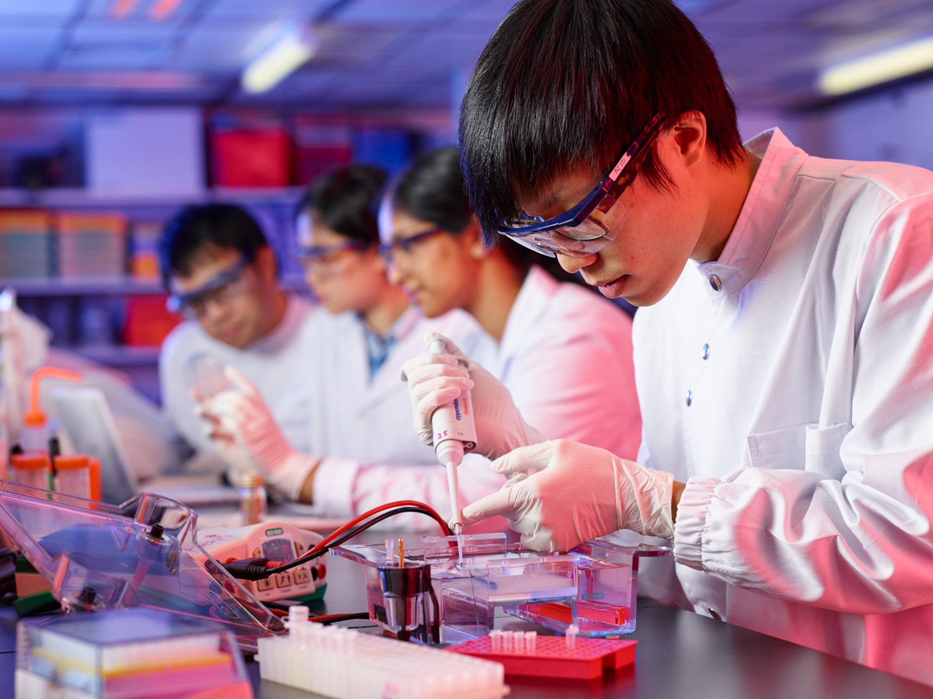 城大56位科學家獲國家級研究資助  數目及總資助額創新高