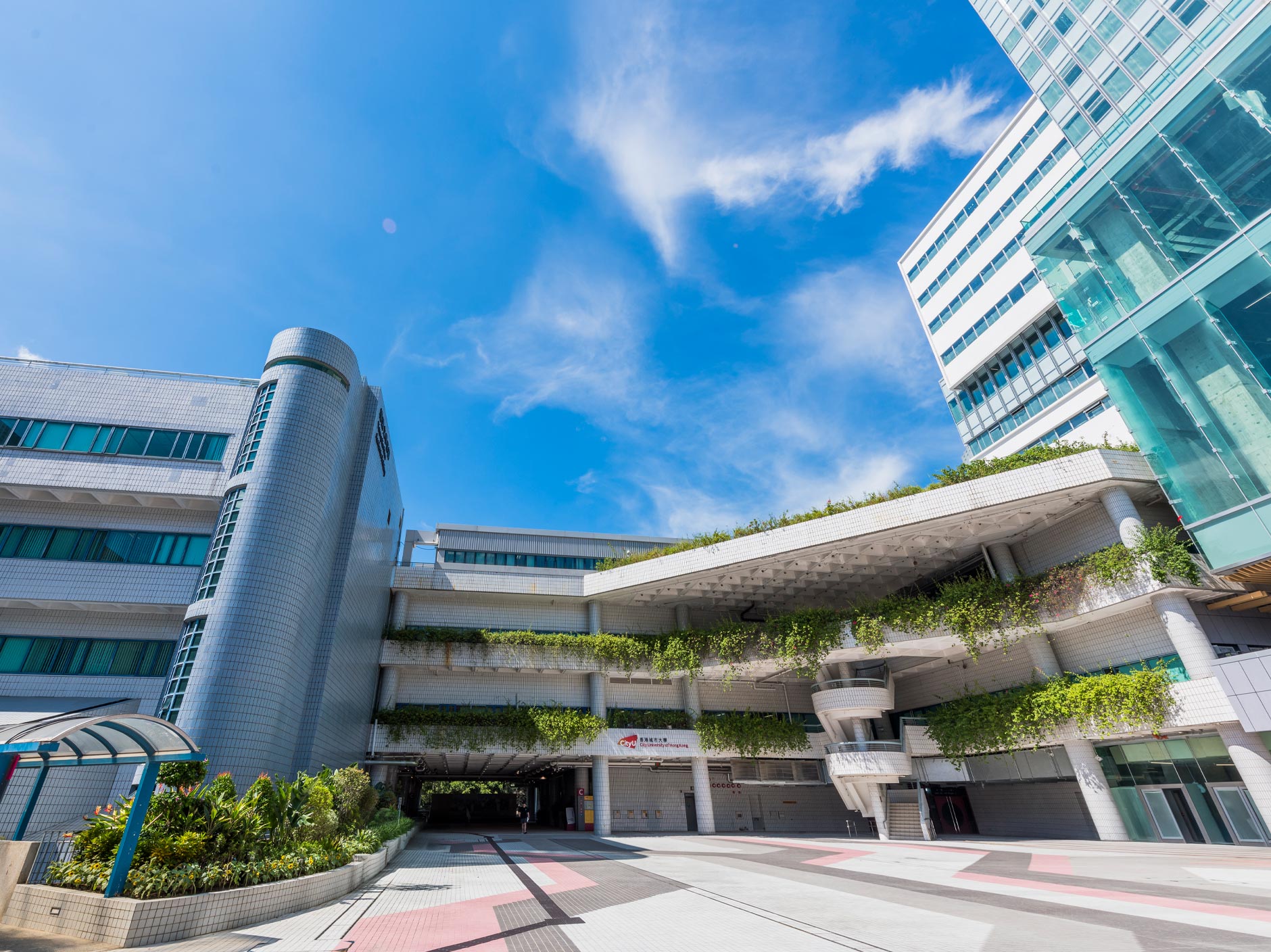 城大學術和科研實力卓越 近260位學者入選全球首2%頂尖科學家