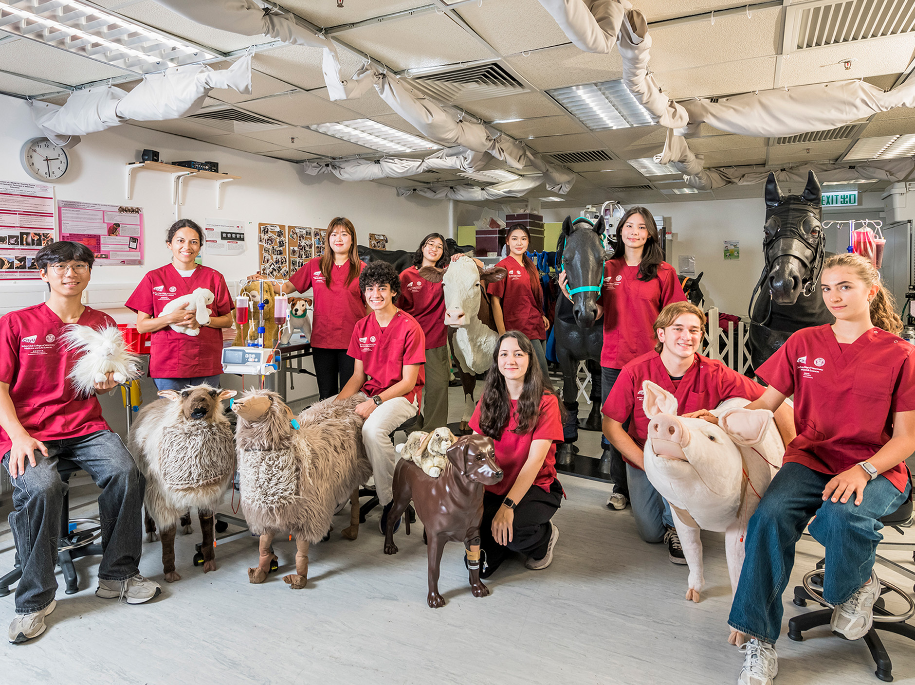 CityUHK’s Bachelor of Veterinary Medicine Programme draws record international enrolment