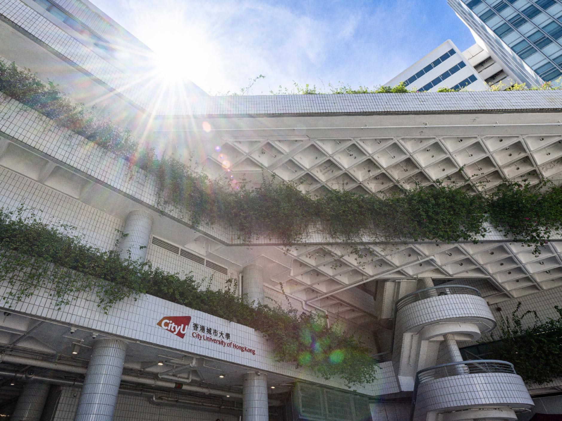 Press Release Seven CityUHK subjects secure top 100 position in THE World University Rankings by Subject