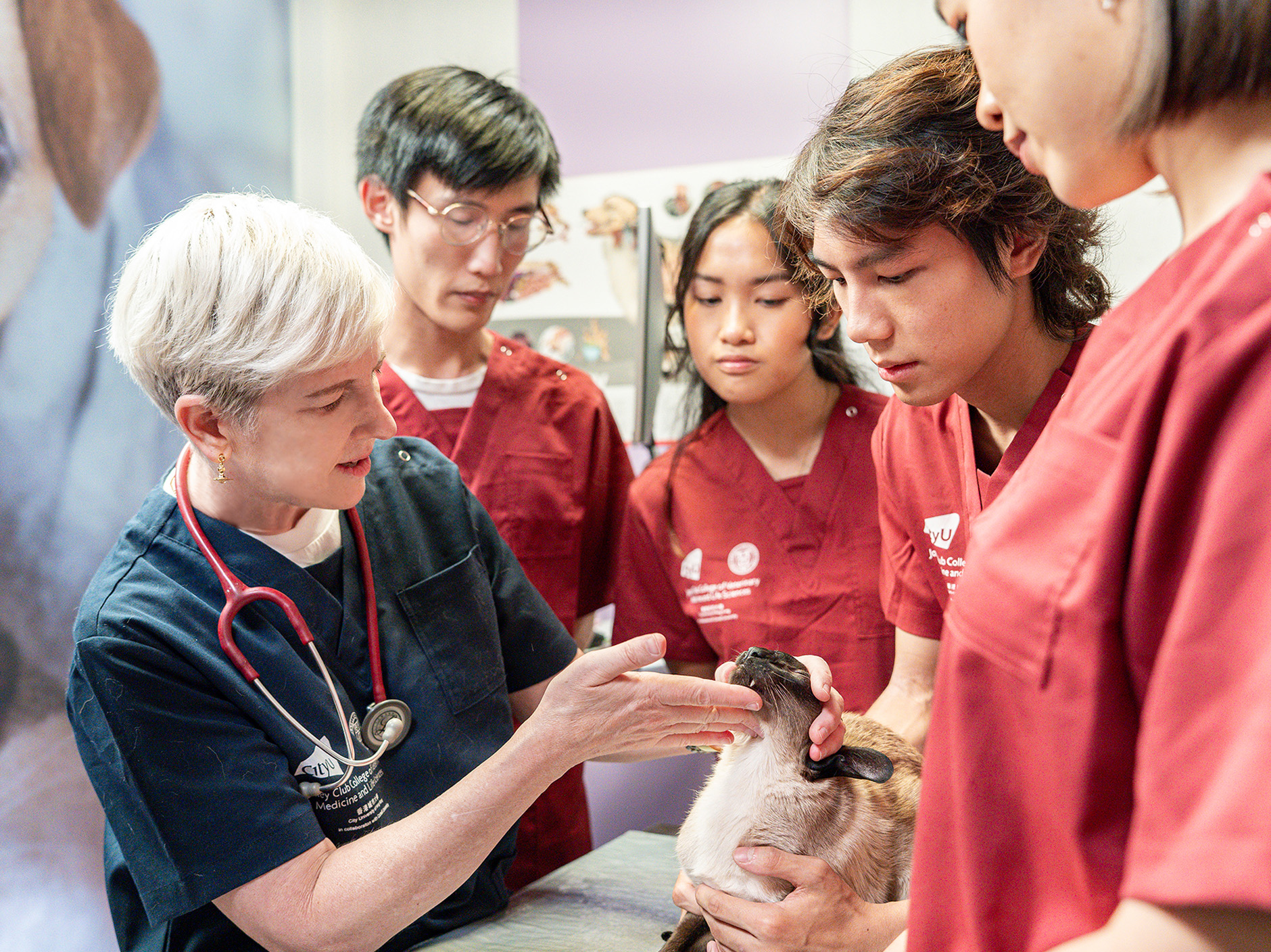 Web Story_BVM20251031_03_1880x1408px