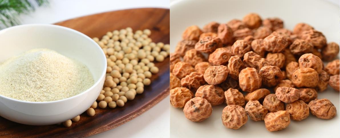 meat the next hk tech 300