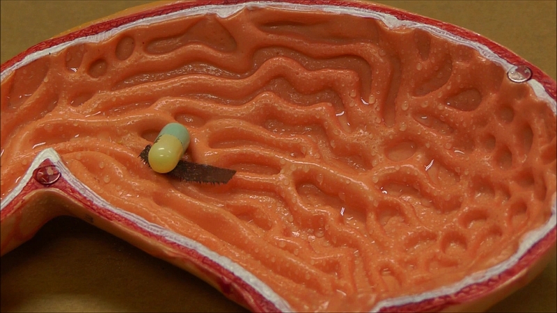 The soft and multi-legged robot developed from a research led by City University of Hong Kong has a remarkable loading ability of up to 100 times its weight. The video screen capture demonstrates its drug transport capability on the wet surface of a stomach model, simulating the in-vivo harsh environment.