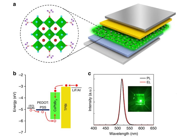 perovskite led