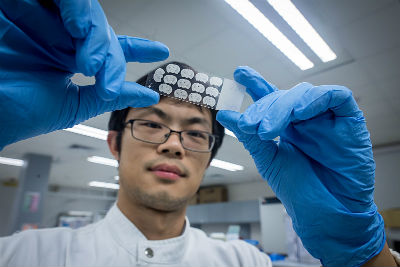香港城大發現大腦聯合記憶新機制 為老年痴呆、癲癇治療新方案提供理論基礎
