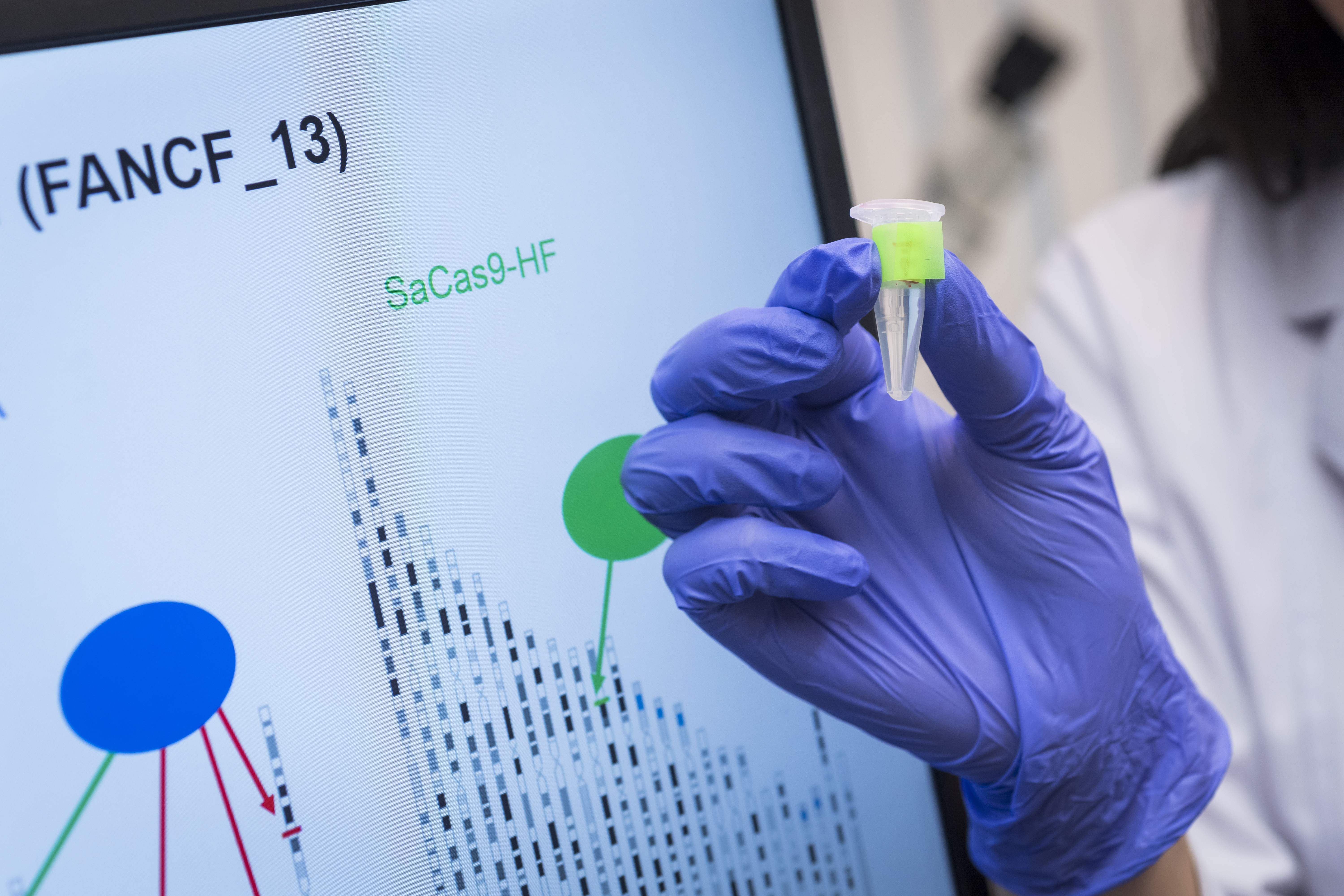 精準基因編輯︰新研發CRISPR-Cas9蛋白提高基因編輯技術精準度