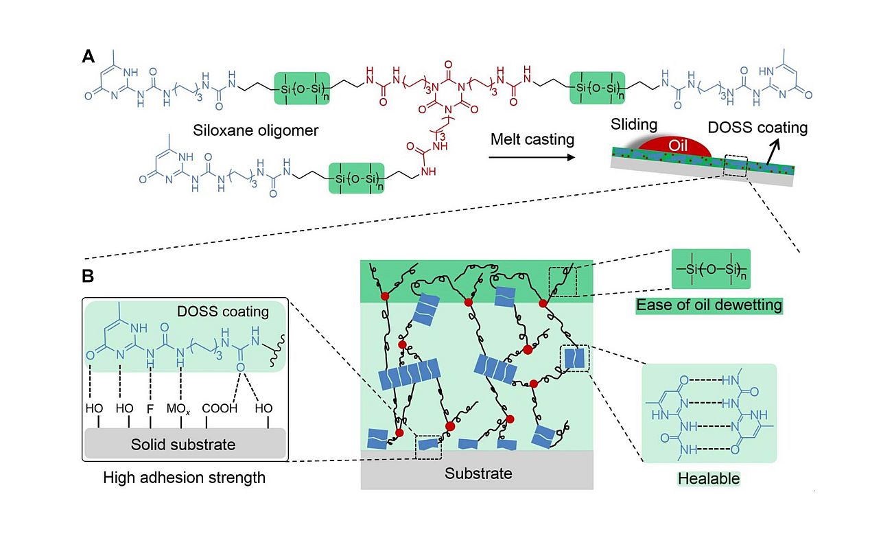 The unique three-arm design facilitates intensive hydrogen bonding between molecules, not only contributing to strong interfacial adhesion but also enhancing the damage-healing property.
