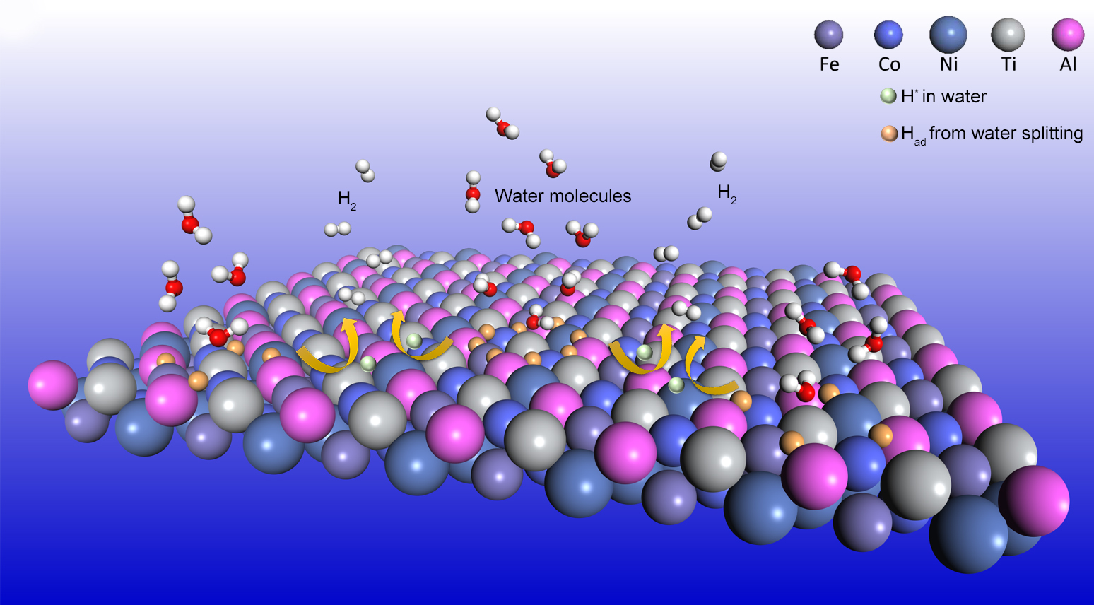 Schematic illustration of the hydrogen evolution reaction process 