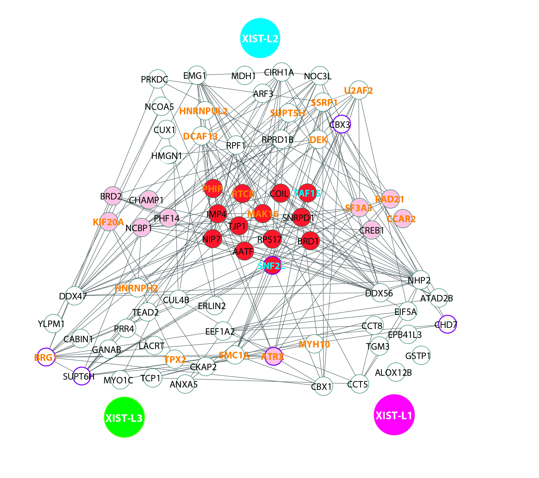 rna binding proteins, rna binding protein