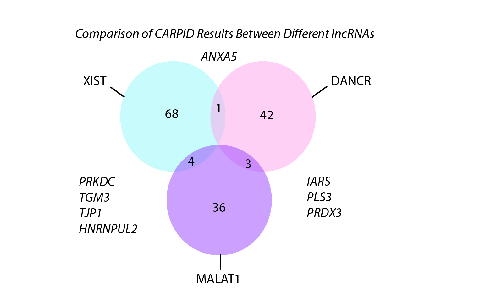 rna binding proteins, rna binding protein