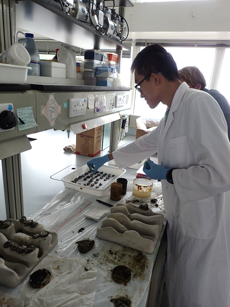 Eco-engineered tiles 