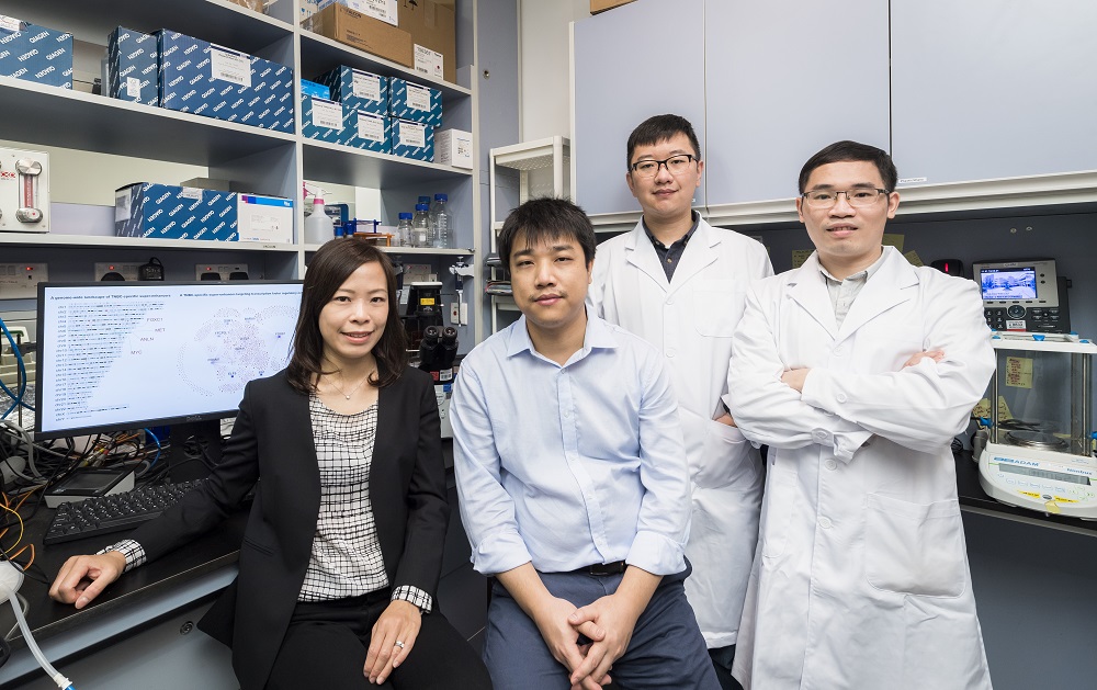 CityU biologists discover super-enhancers that switch on breast cancer ...