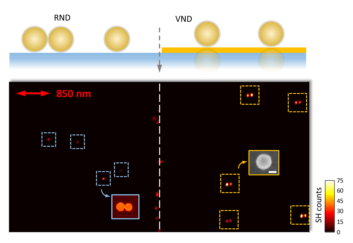 A Novel nanophotonic system enhances light conversion efficiency by ...