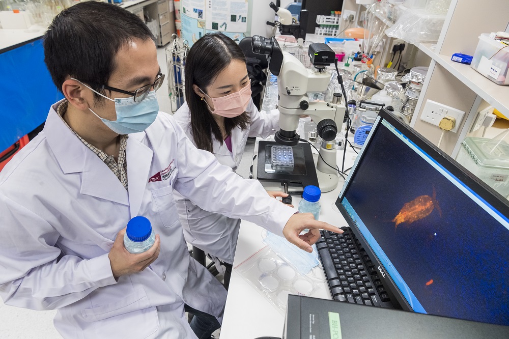 surgical masks threaten the marine ecosystem and food chain